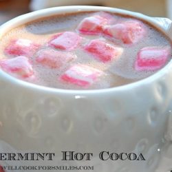 decorative white mug with peppermint hot cocoa on a white saucer on wooden table