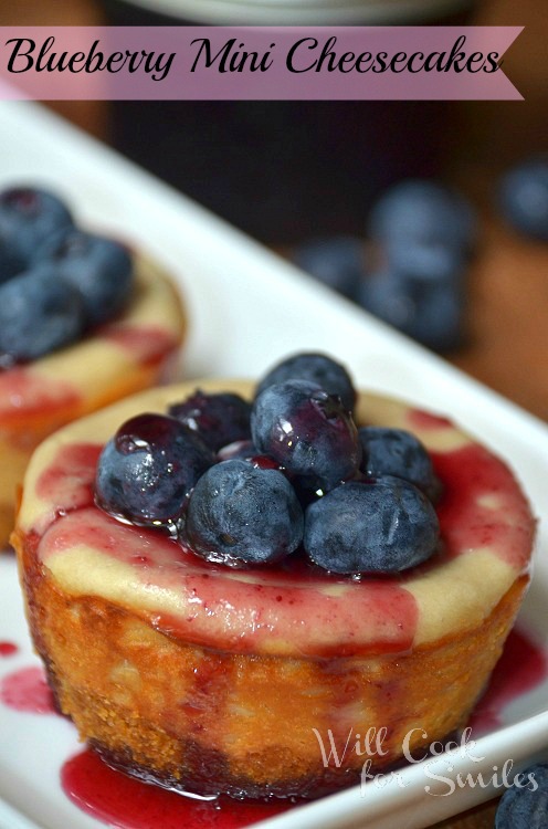 Blueberry mini cheesecake with blueberries on top on a white dish 