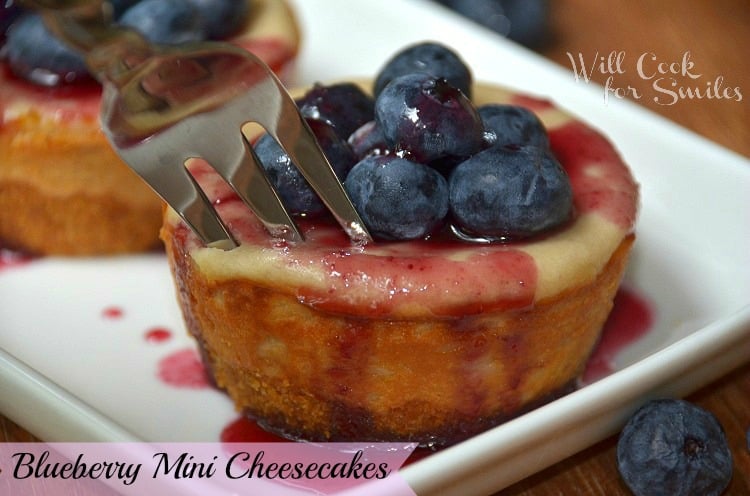 Blueberry mini cheesecake with blueberries on top on a white dish with a fork in one 