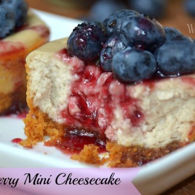 2 mini blueberry cheesecakes on white plate garnished with blueberries and sauce first one cut into