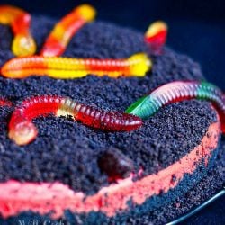 close up view of dirt and worms cake. Red velvet cake with oreo crumb topping and candied worms on top