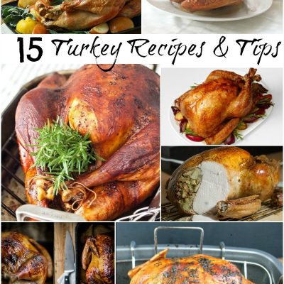 picture collage of 15 turkey recipes and tips
