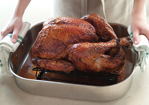 turkey in a roasting pan 