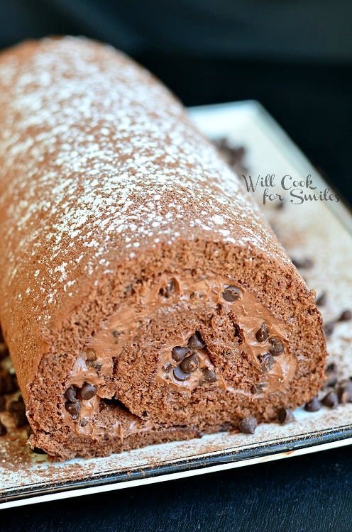 Chocolate Cake roll on a plate 