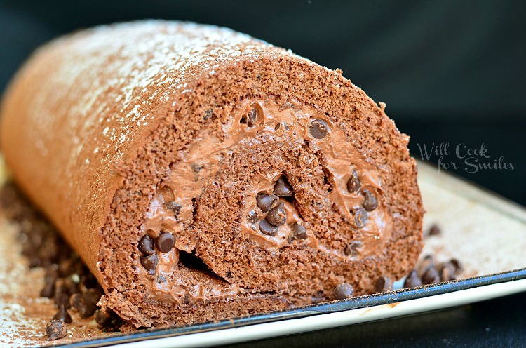 Close up of Chocolate Cake Roll on a plate 