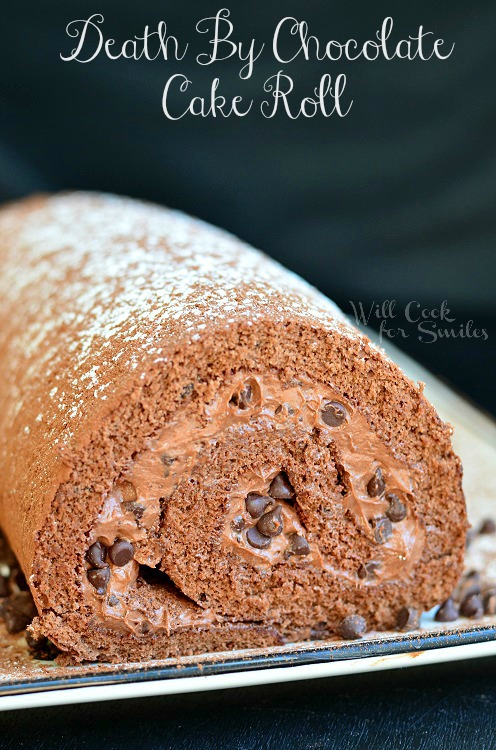 Death By Chocolate Cake Roll with chocolate frosting and mini chocolate chips 