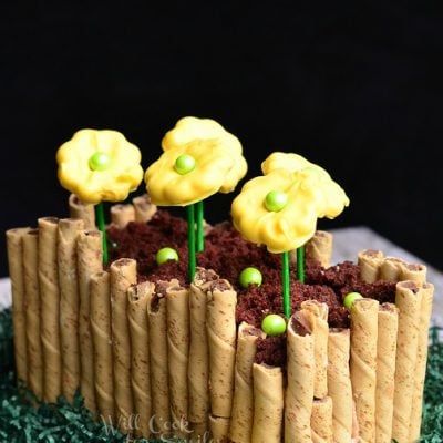spring flower bed cake on shredded green paper with yellow cookie flowers in chocolate "dirt" with black background