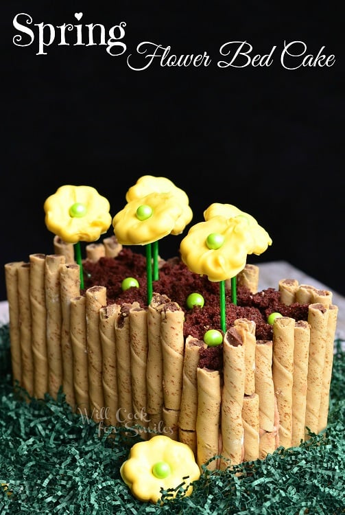 spring flower bed cake on shredded green paper with yellow cookie flowers in chocolate "dirt" with black background