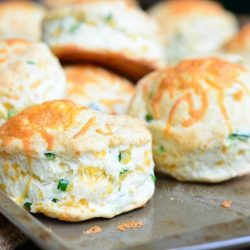 close up view 10 jalapena cheddar buttermilk biscuits on a metal baking tray on a tan cloth