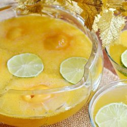 view from above of Decorative wine glass filled with champagne sorbet punch on a burlap placemat with a bowl filled with punch to the left