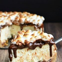Smores cheesecake on a wooden table with 1 slice on a cake cutter in front of rest of cake