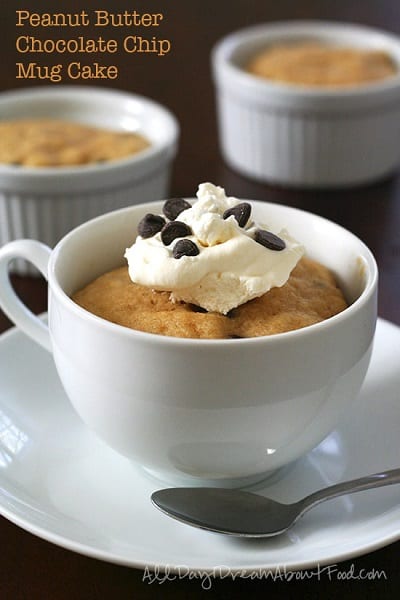 Peanut-Butter-Chocolate-Chip-Mug-Cake