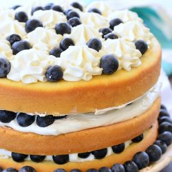 blueberries and cream cake on a white plate on wooden table topped with blueberries and icing