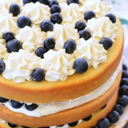 blueberries and cream cake on a white plate on wooden table topped with blueberries and icing
