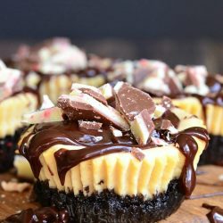 4 peppermint mocha mini cheesecakes sitting on a small paddle cutting board on a dark wood table