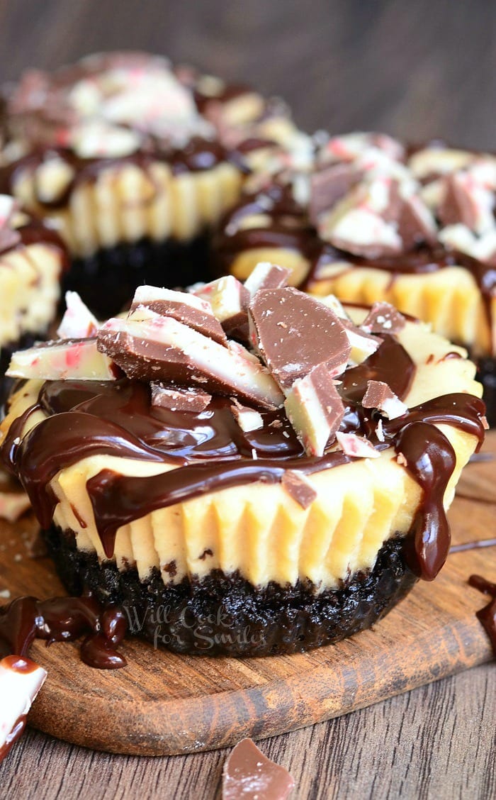 Peppermint Mocha mini cheesecakes with peppermint candy on top on a cutting board 