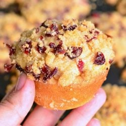 hand holding 1 cranberry white chocolate chip streusel muffin above more muffins