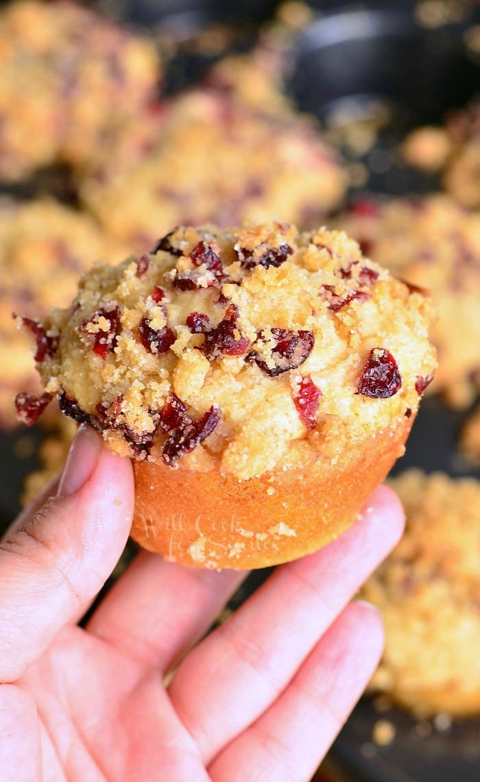 Holding a Cranberry White Chocolate Chip Streusel Muffin 