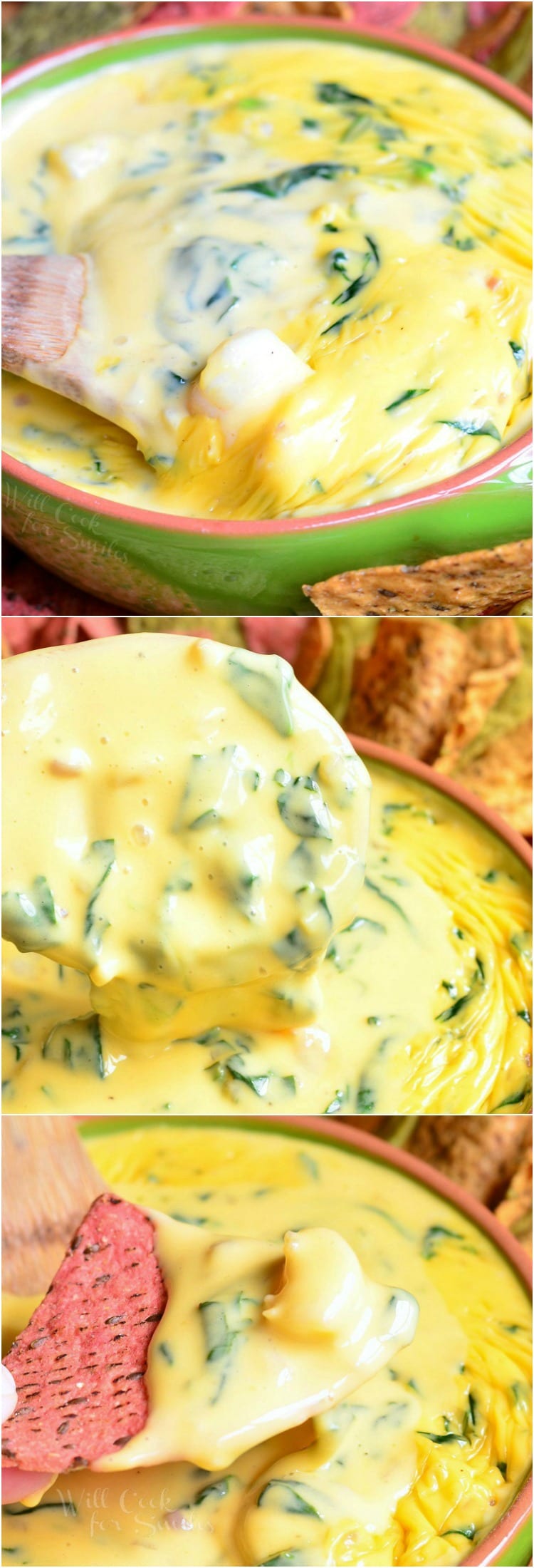 Shrimp and Spinach Queso Dip collage 