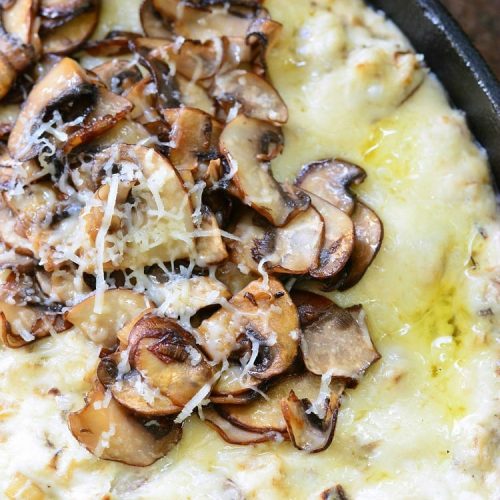 Mushroom Leek and Gruyere Cheese Dip Will Cook For Smiles