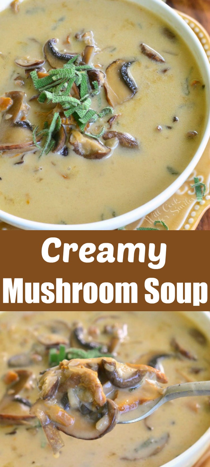 mushroom soup collage top: bowl mushroom soup - bottom: spoonful of soup and title words in the middle