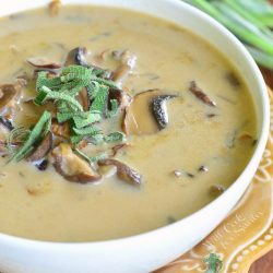 A white bowl on top of a decorative tan plate filled with Mushroom soup.