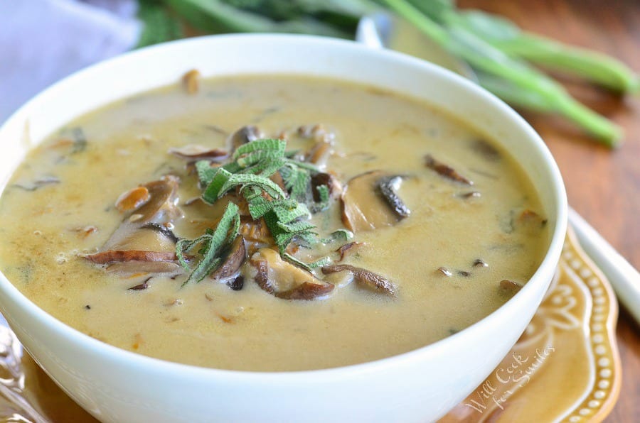The Best Mushroom Soup in a bowl on a plate 