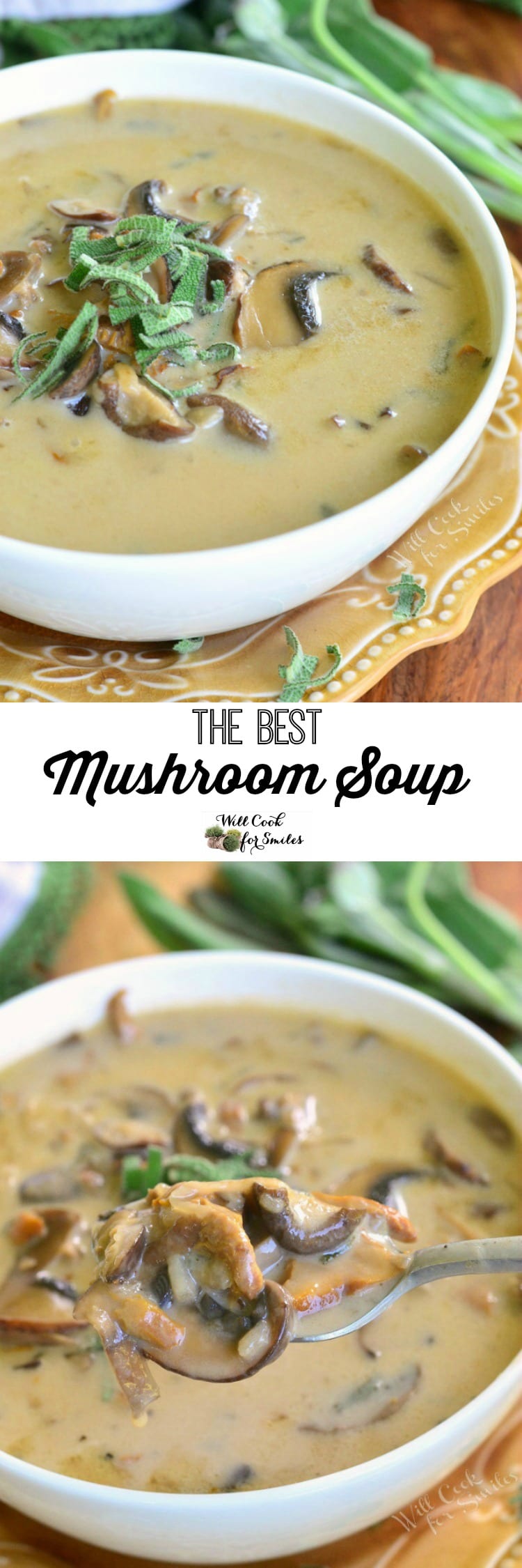 The 4 most popular mushroom mushroom soup recipes The 4 most popular mushroom mushroom soup recipes