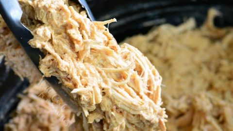 Instant pot creamy shredded chicken outlet