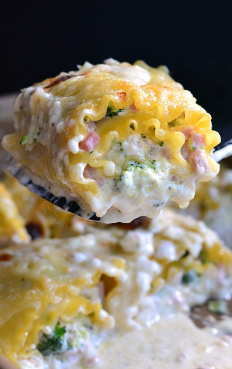 Ham and Broccoli Creamy Lasagna Roll Ups Will Cook For Smiles
