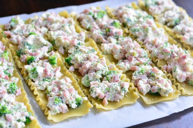 lasagna noodles with the filling spread on top.