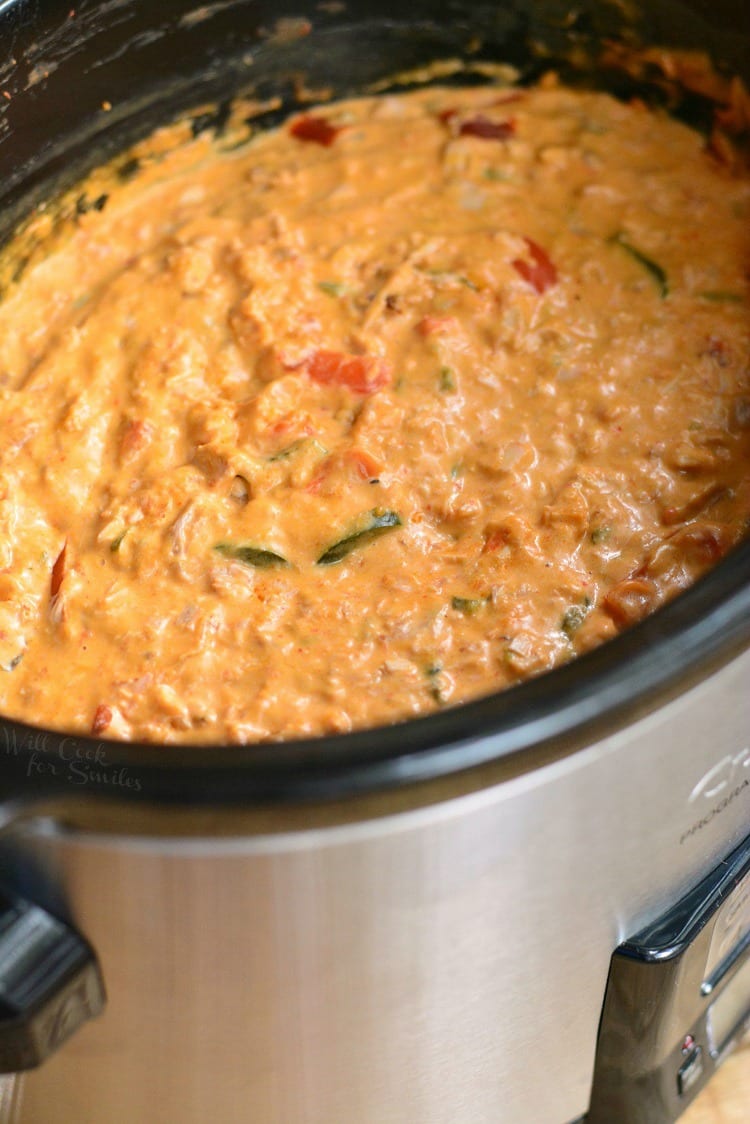 Slow Cooker Chicken Enchilada Cheese Dip Will Cook For Smiles