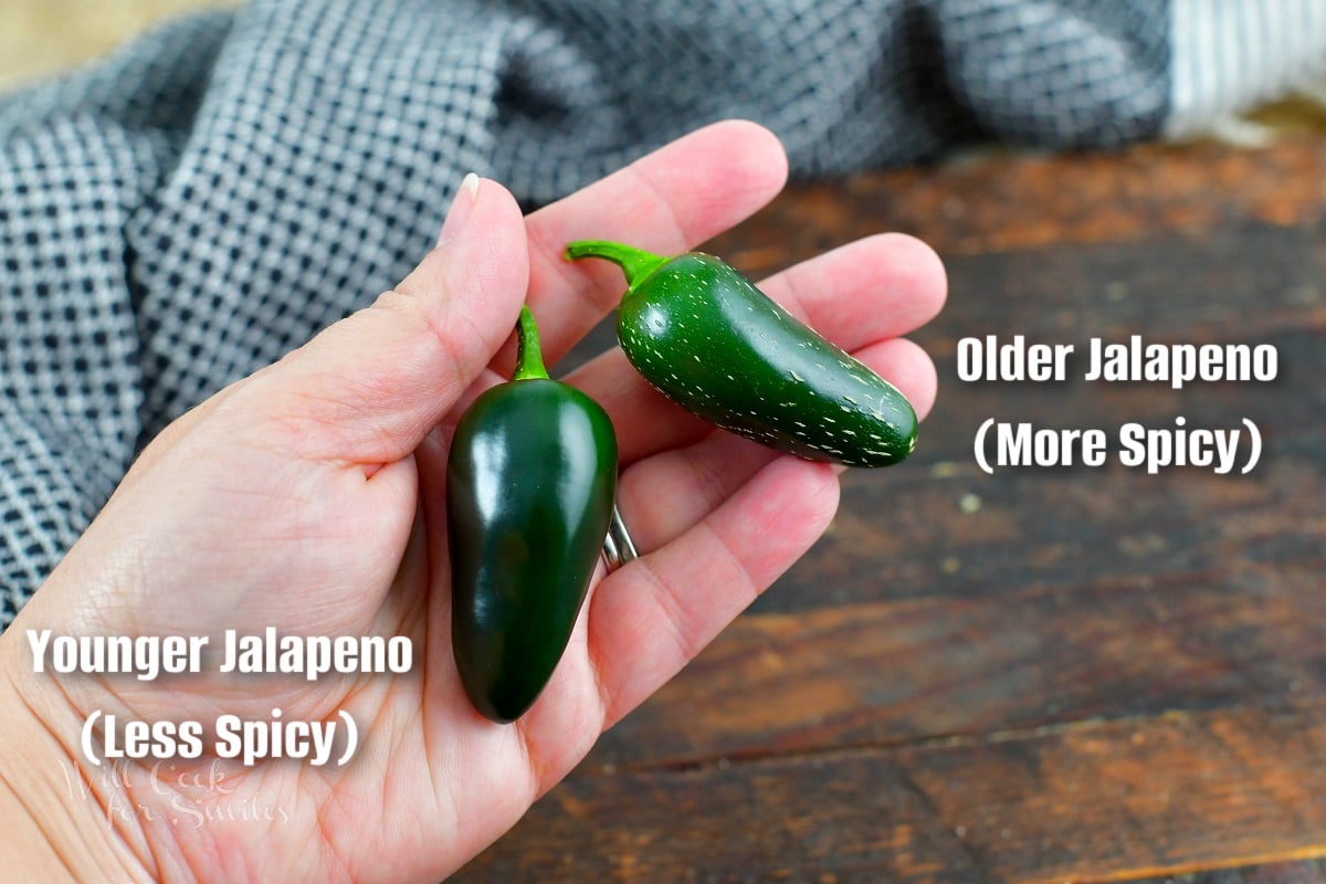 holding two jalapeno peppers, one is older and one is younger.