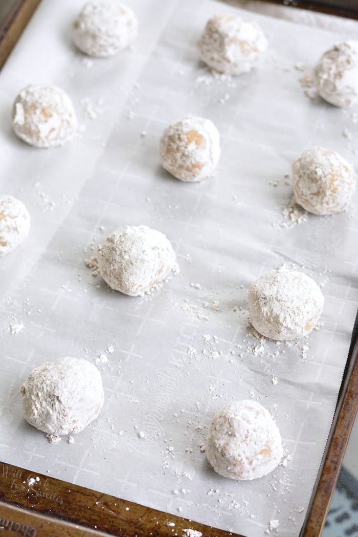 uncooked Soft Maple Pecan Cream Cheese Cookies rolled up on parchment paper 