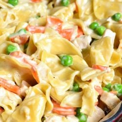 closeup of creamy turkey noodles in red pan.