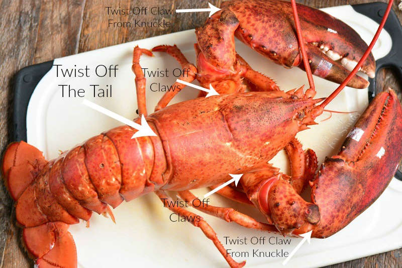 whole cooked lobster on a white and black cutting board with arrows pointing to different parts of lobster where to break it apart and labels