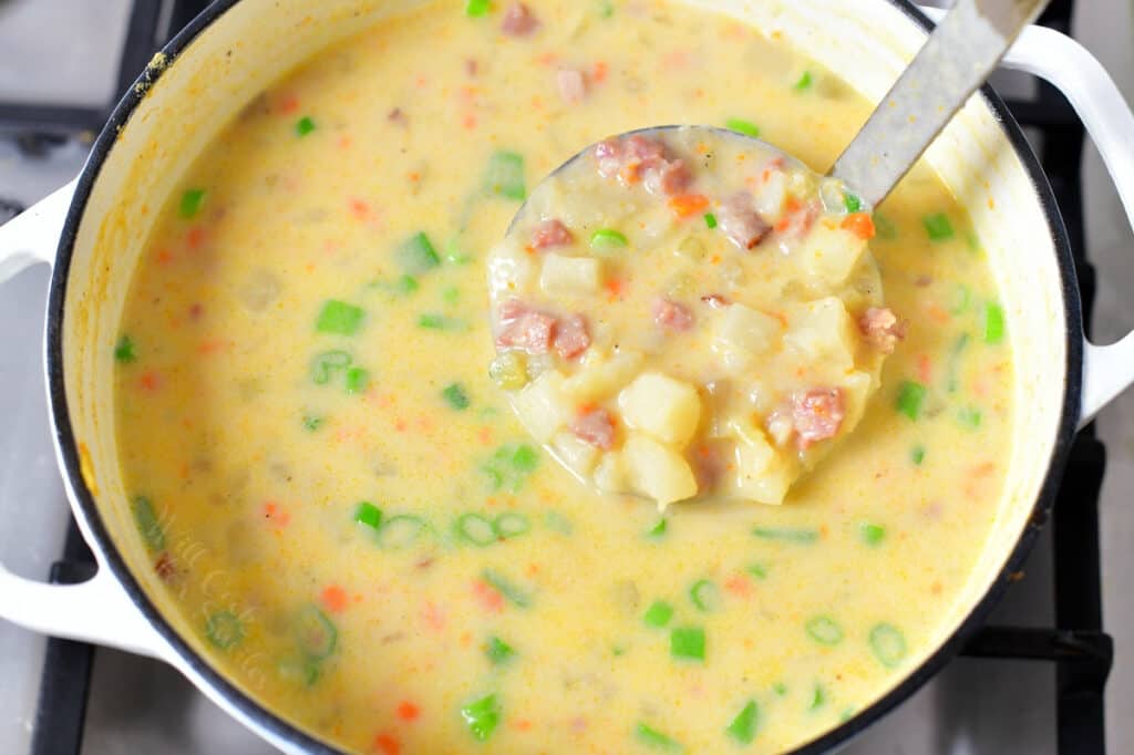 ladle in pot of cheesy ham and potato soup