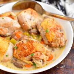 closeup: French chicken fricassee in serving bowl with spoon