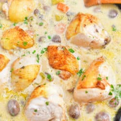 overhead photo: chicken fricassee, ready for serving