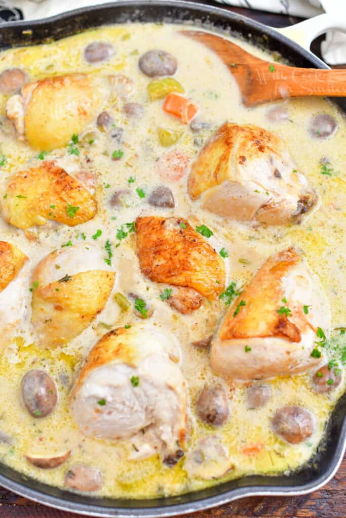 overhead photo: chicken fricassee, ready for serving
