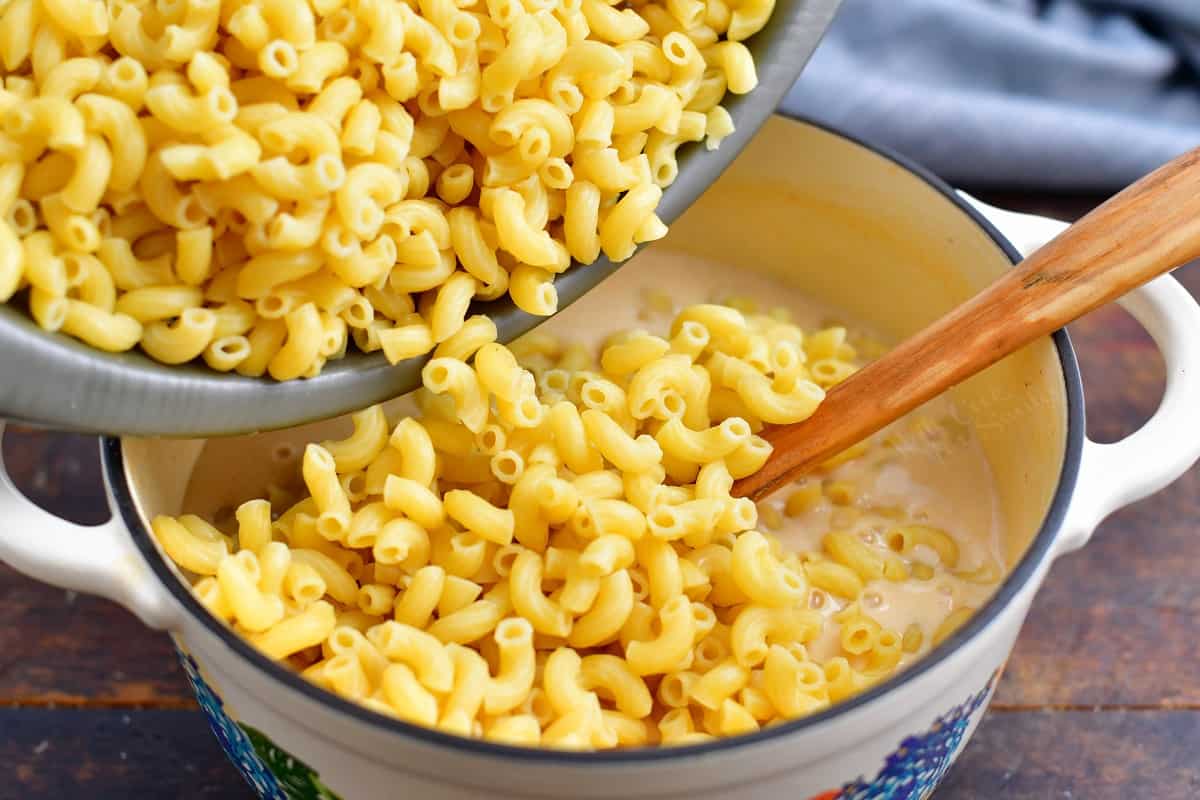 Beer Cheese Sauce Mac and Cheese Bold and Easy Pasta Recipe