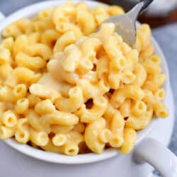 fork lifting creamy mac and cheese out of a soup bowl with handles