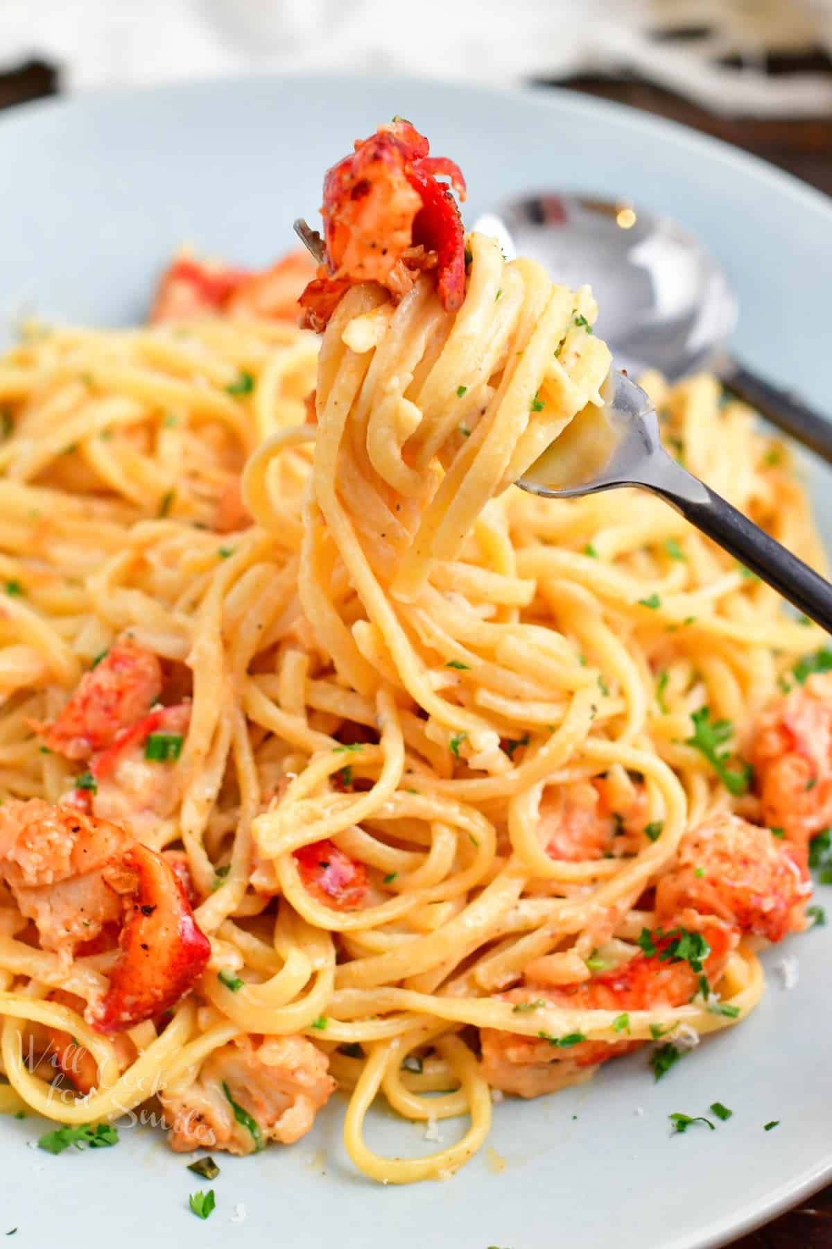 creamy pasta twirled onto a fork with piece of lobster on top.
