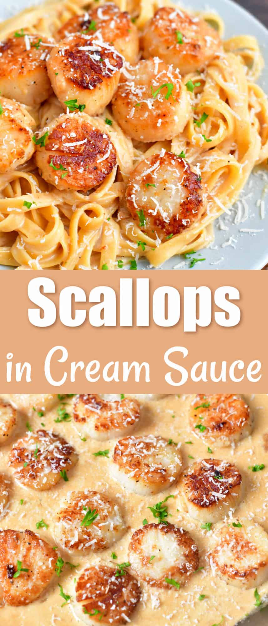 titled photo collage (and shown): Scallops in Cream Sauce