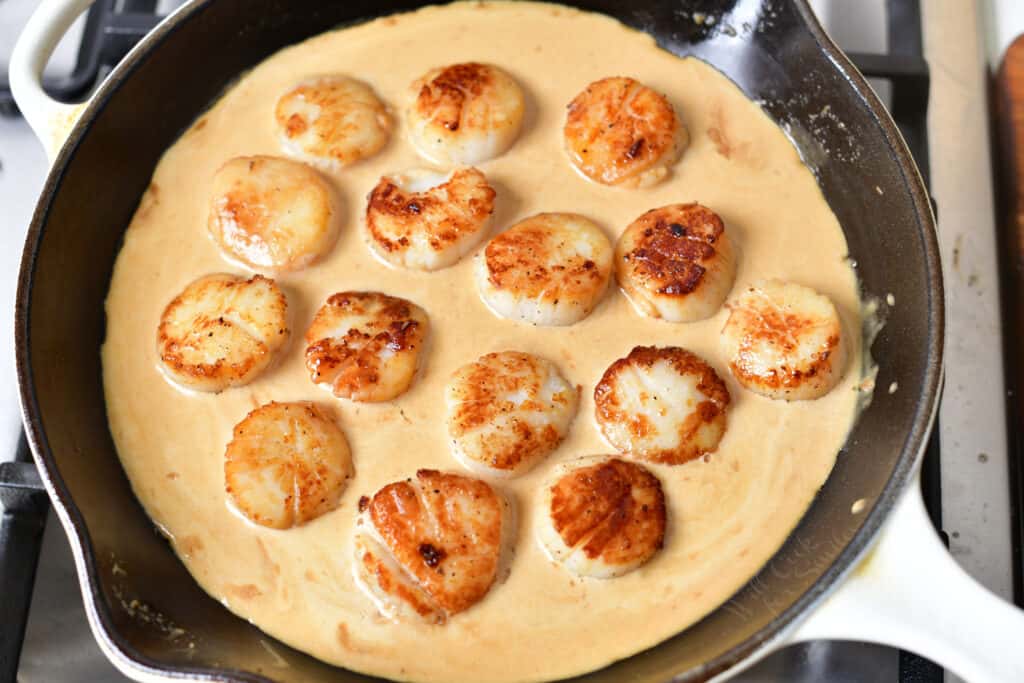 cooked scallops nestled in cream sauce on the stove