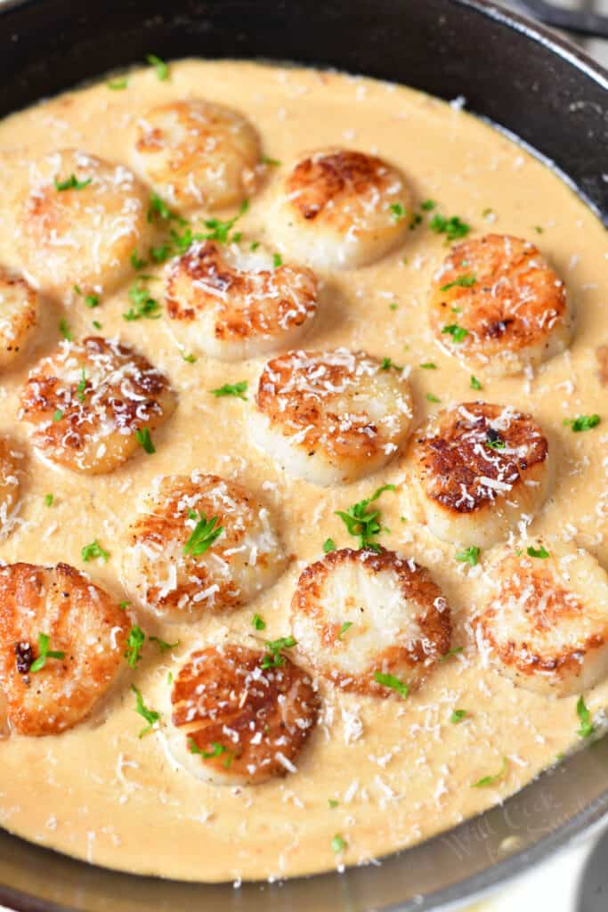 pan of scallops with cream sauce and garnish