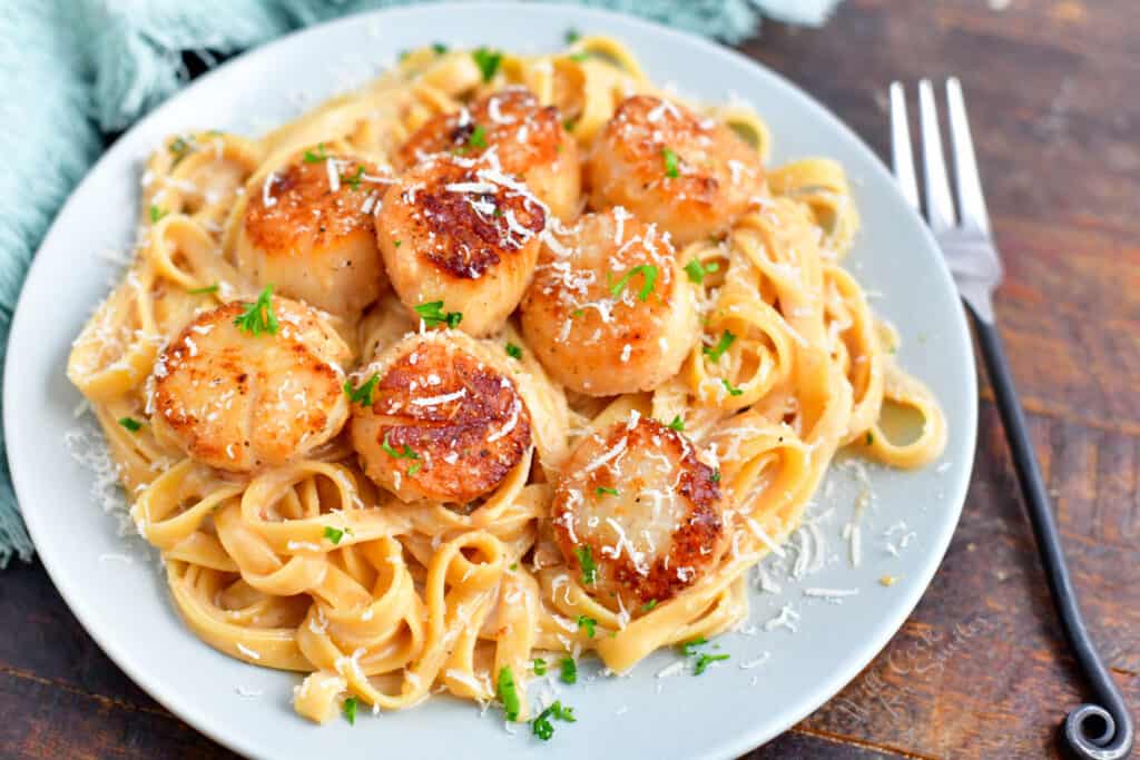 plate of seared scallops on a bed of pasta