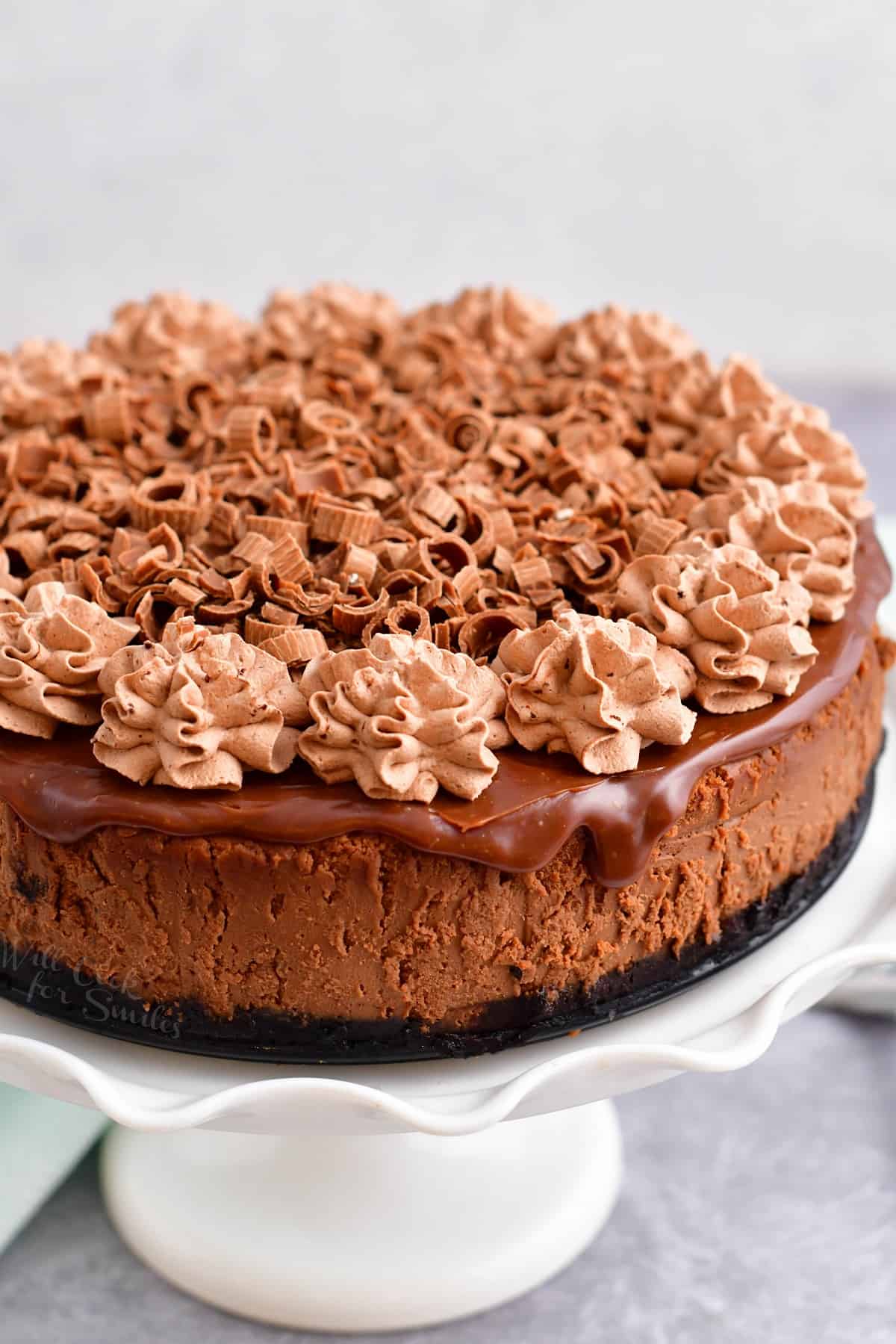 A chocolate cheesecake is beautifully topped with chocolate whipped cream.