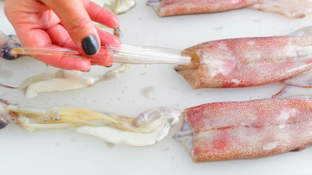 pulling cuttlebone out of the squid mantle