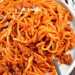 closeup of pasta with sauce and swirled on a fork